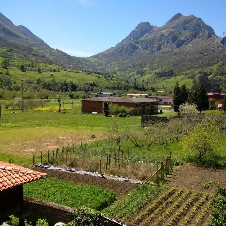 Tu Casita De La Senda Del Oso Villa Proaza Dış mekan fotoğraf